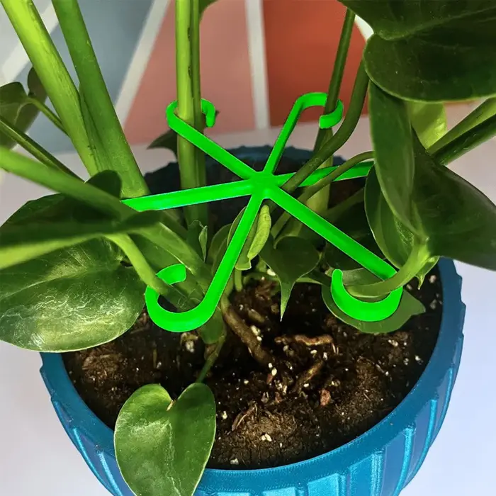 Clips de Support pour plantes grimpantes