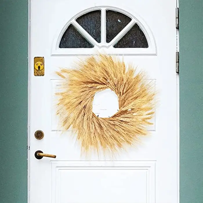 Sunks de blé séché pour la décoration de la maison