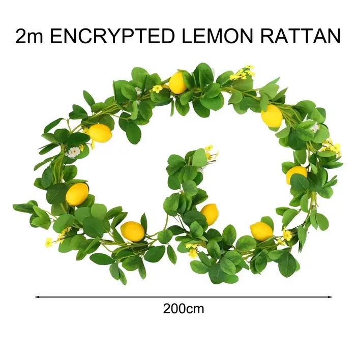 Guirlande de citron en rotin