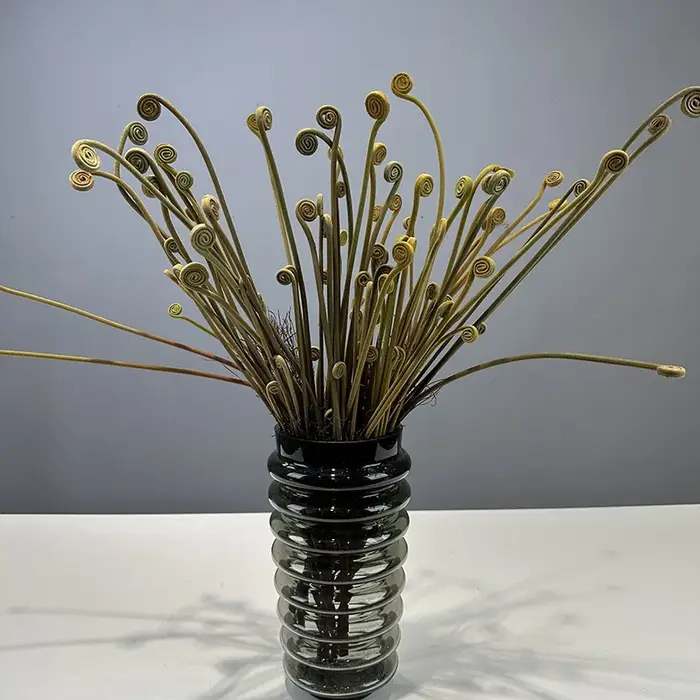 Nouvelles plantes artificielles de germes de fougère floquées pour la maison décor de Table de mariage fleur