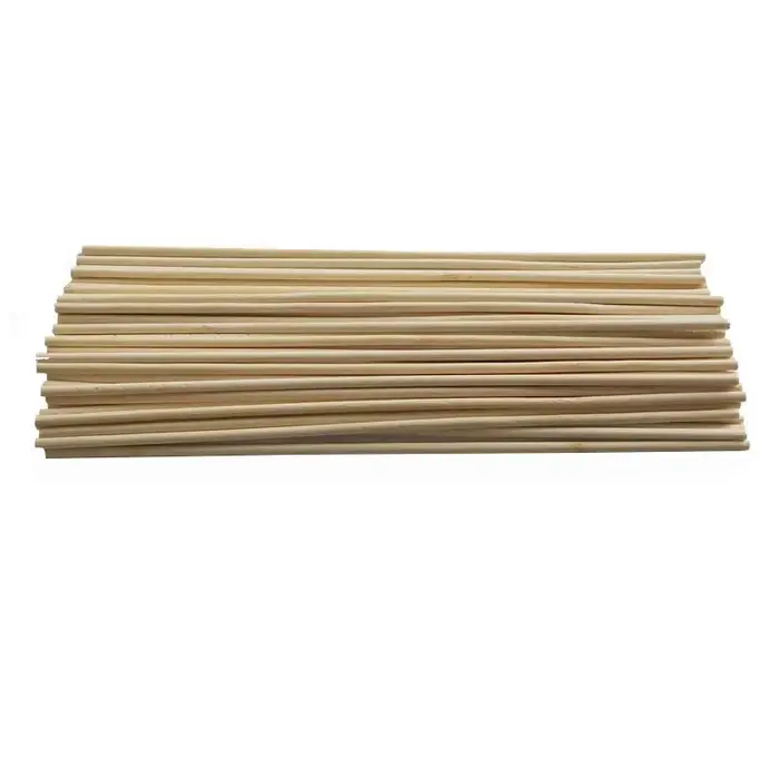 50 pièces bâtons de bambou plante de jardin Support fleur bâton canne outil de jardinage pour maison