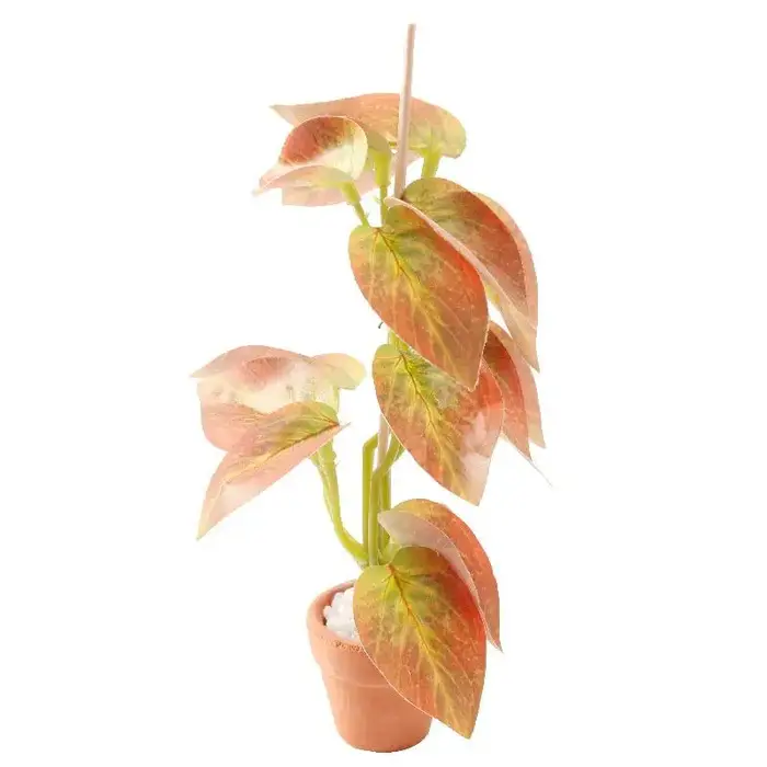 Modèle de plante verte bonsaï Miniature pour maison de poupée 1/12