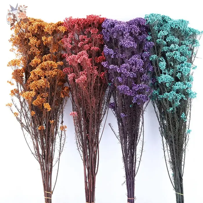 Bouquet de fleurs de Millet séchées naturelles