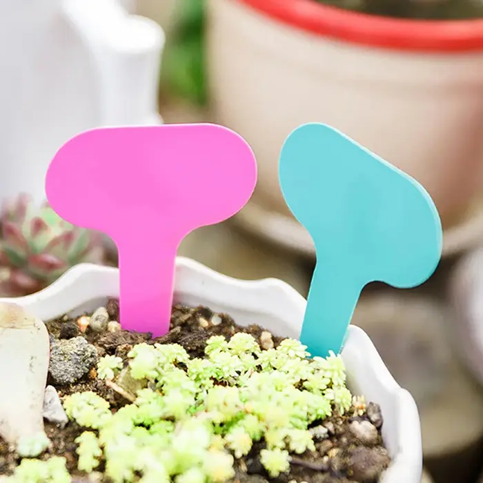Plaque d'écriture en plastique pour plantes de jardin