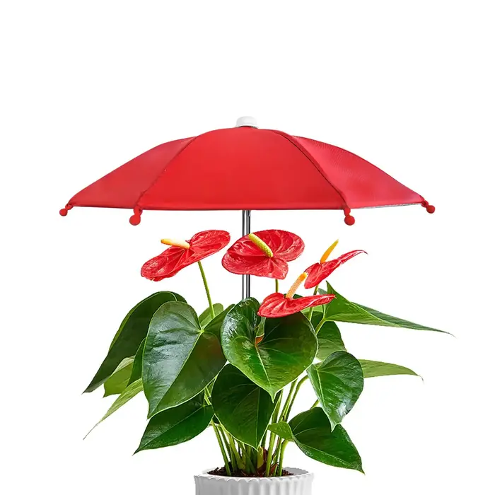 Parasols pour plantes d'extérieur de 27 cm