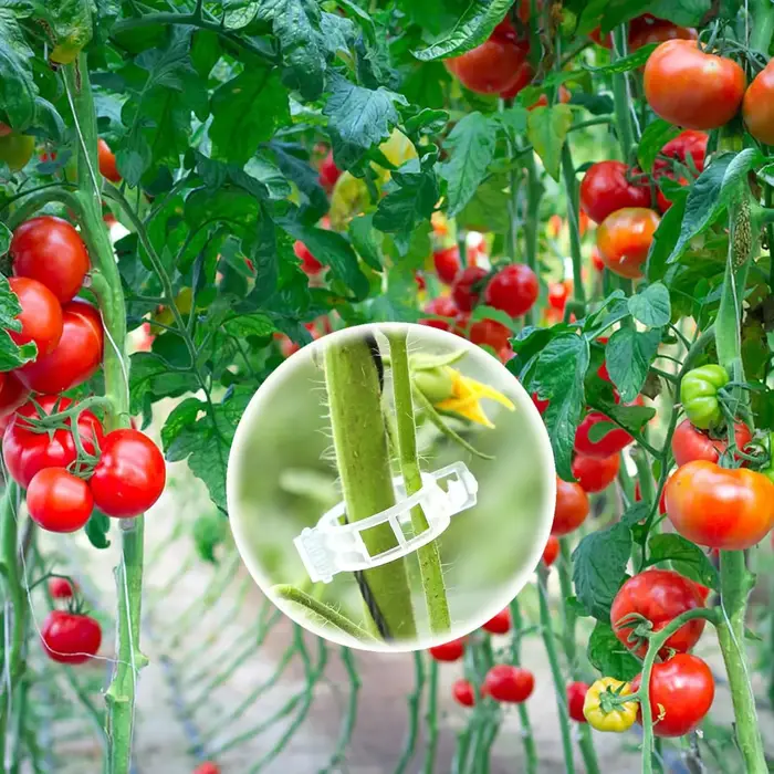 50-100 pièces pinces à tomates pinces à plantes vignes pinces à treillis en plastique-Clips de Suppo