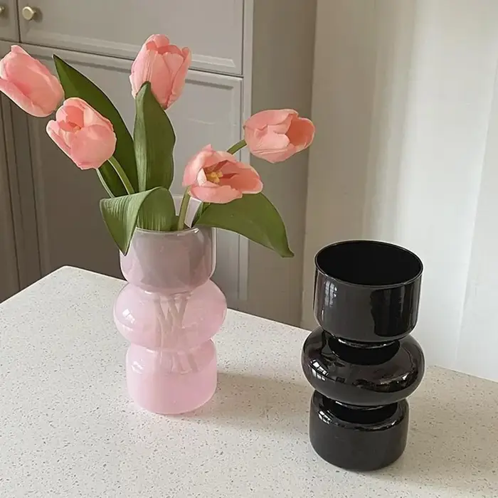 Vase décoratif en verre pour plantes d'ornement