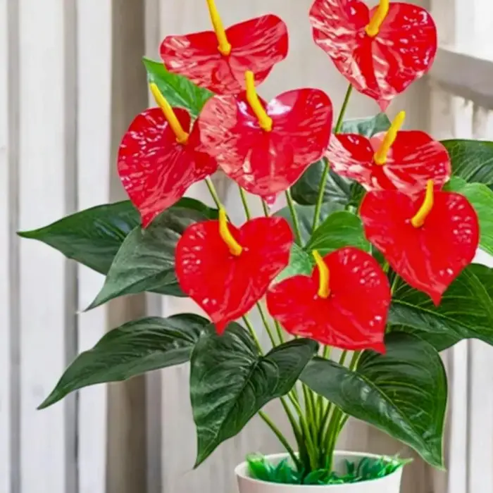 Anthurium artificiel à 18 têtes