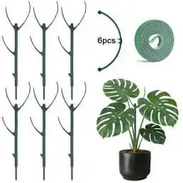Supports de plantes en forme d'anneau empilables pour plantes vertes, piquets de croissance pour pla