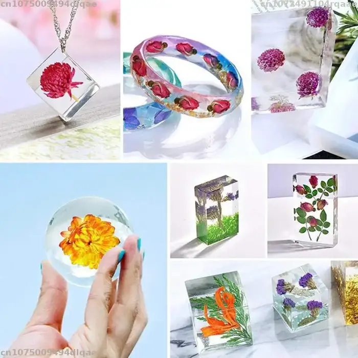 Fleurs séchées d'œillet rouge naturel pour la décoration intérieure