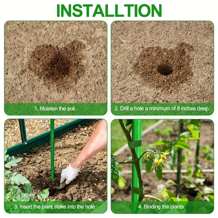 Treillis de jardinage à 20 racines pour concombres et tomates
