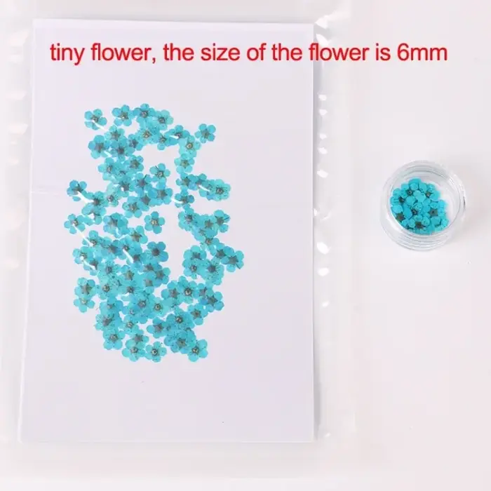 Ensemble de petites fleurs séchées Spirea pour décorations Nail Art
