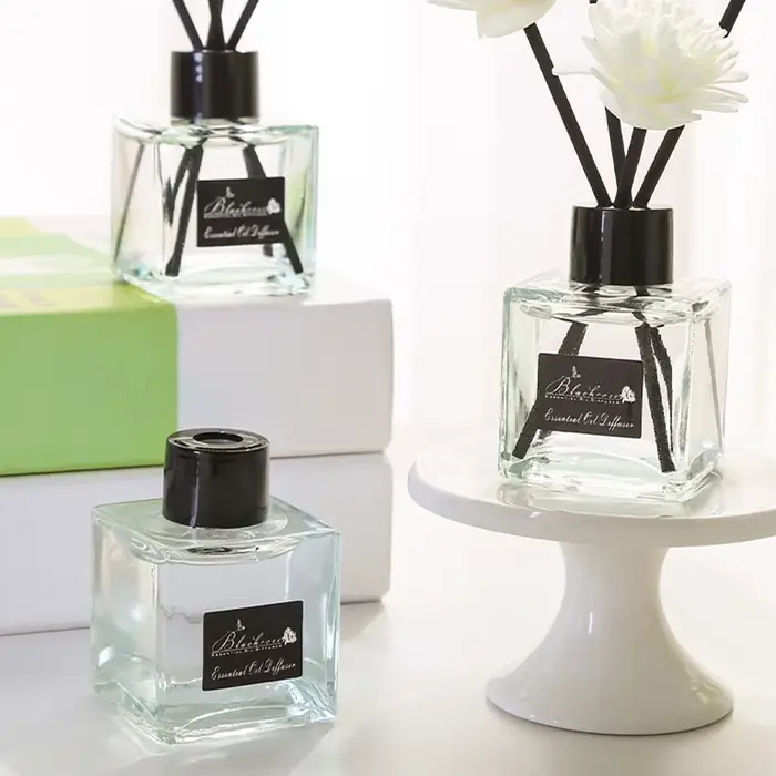 Désodorisant d'air à l'extrait végétal, liquide aromatique longue durée, huile diffuseur d'arômes premium, parfum longue durée pour la maison