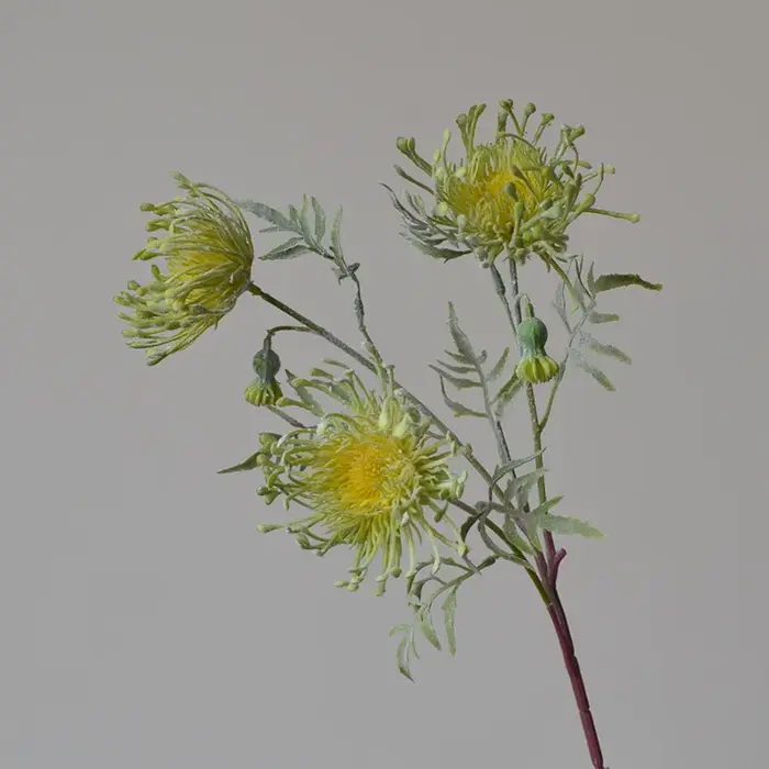 Fleurs Artificielles en Plastique Floquées, 3 Têtes, Griffe de Crabe, Chrysanthème pour ixde Mariage