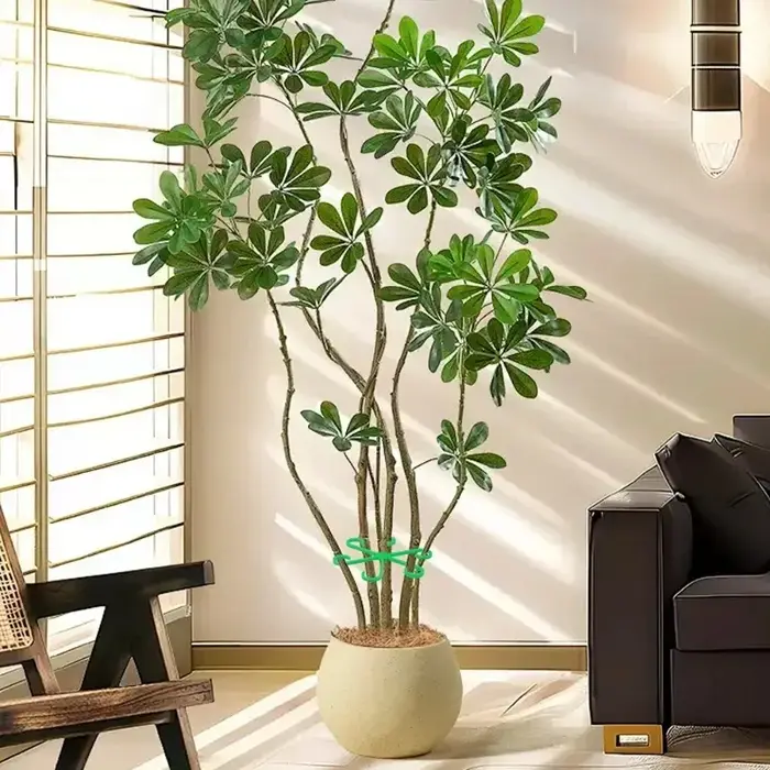 Piquets de Support de tige de plante de fleur