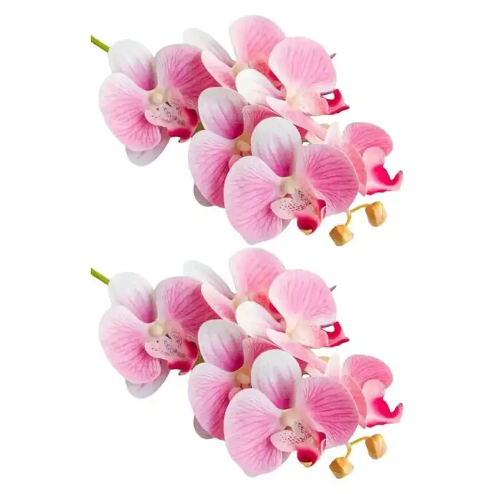 E8BD – lot 2 fleurs d'orchidées papillon