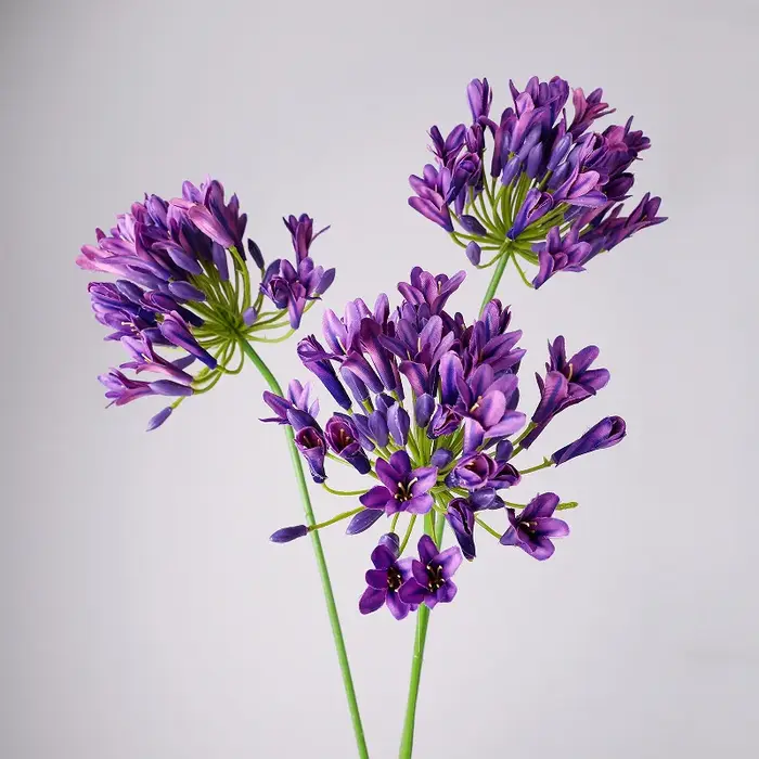 6 pièces de fleurs artificielles en soie Agapanthus