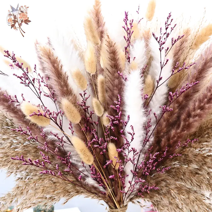 70 pièces moelleux Pampas fleurs séchées violet limonium Boho décor à la maison Vase remplissage bricolage matériel vraie fleur mariage Bouquets de mariée