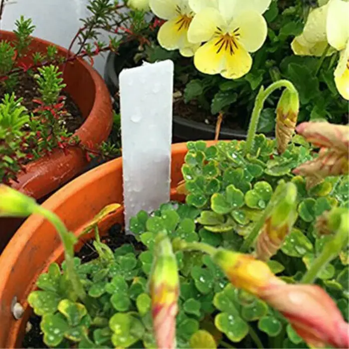 Étiquettes de plantes de jardin
