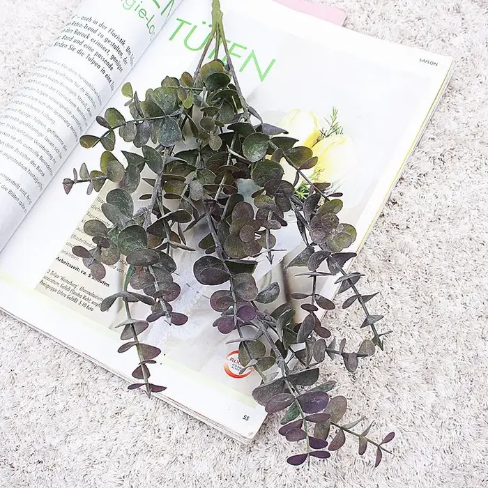 Pot de fleurs d'eucalyptus ornemental à longue branche