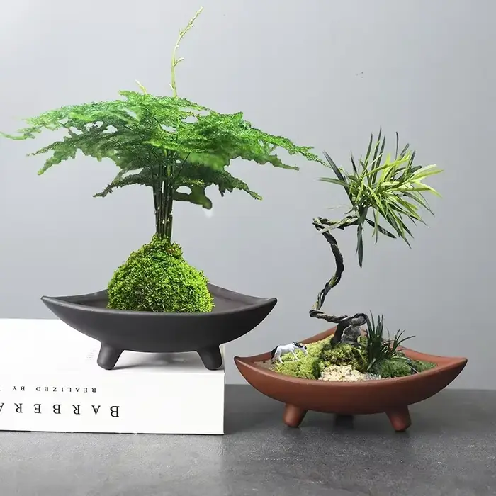 Pots de fleurs en céramique pour bambou