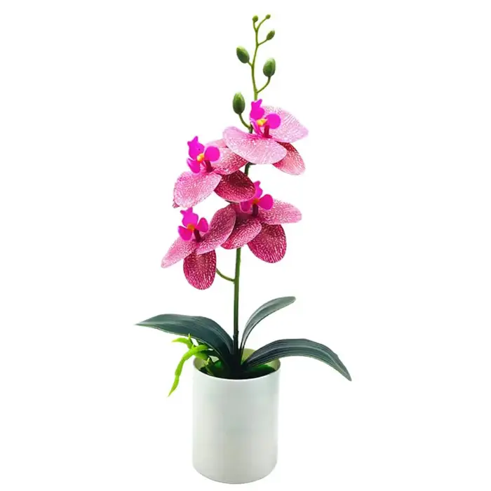 Plante Artificielle Phalaenopsis de 37x18cm