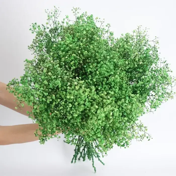 Bouquet de fleurs séchées pour bébé