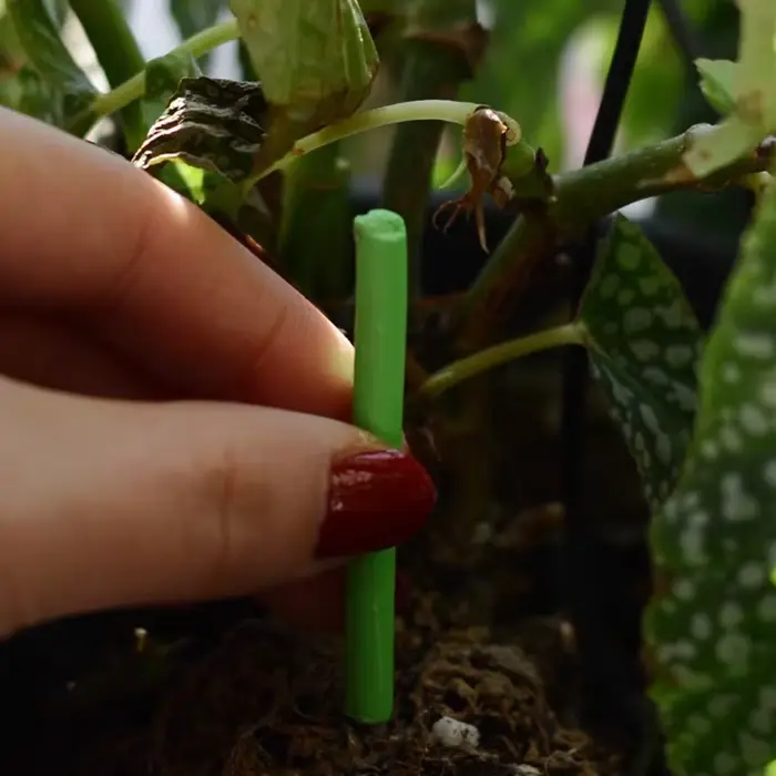 Barres nutritionnelles pour plantes