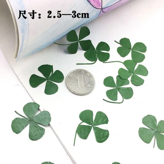 Feuilles séchées vertes PMurcia 4-scalp