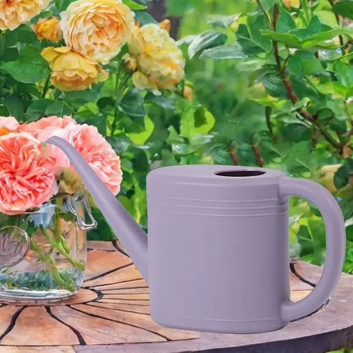 Arrosoir pour plantes 1L
