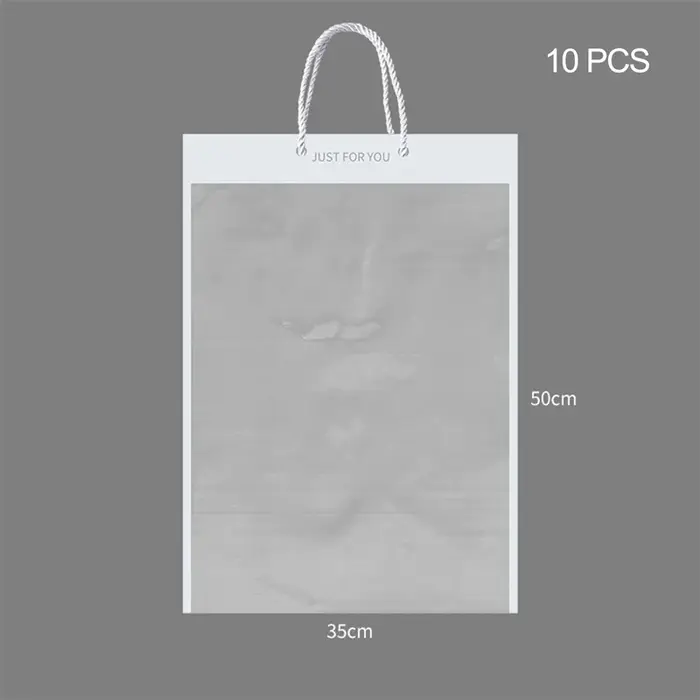 【F】10 pièces de boîtes d'emballage transparentes pour fleurs