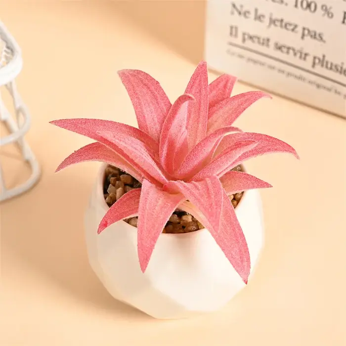 Ensemble de Mini plantes succulentes artificielles