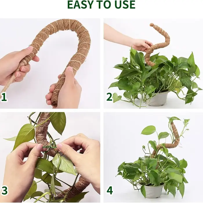 Support de grimpement pliable pour plantes