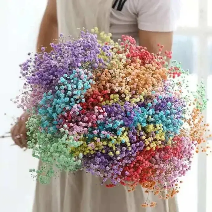100g fleurs séchées souffle de bébé