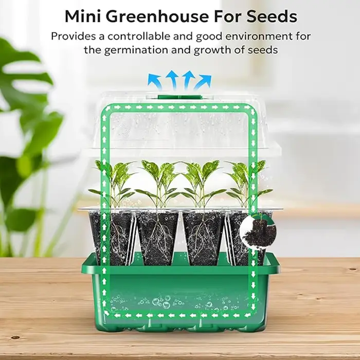 Kit de lancement de plantes de plateau