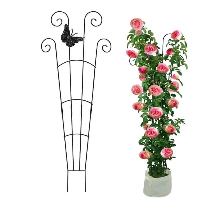 Plante grimpante treillis jardin Support Cages pour fleurs plantes