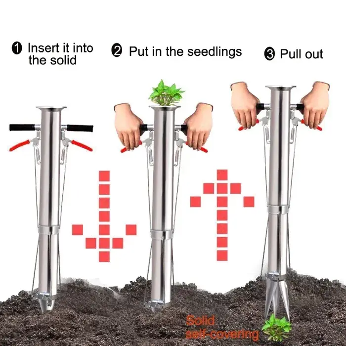 Transplanteur de semis pour légumes