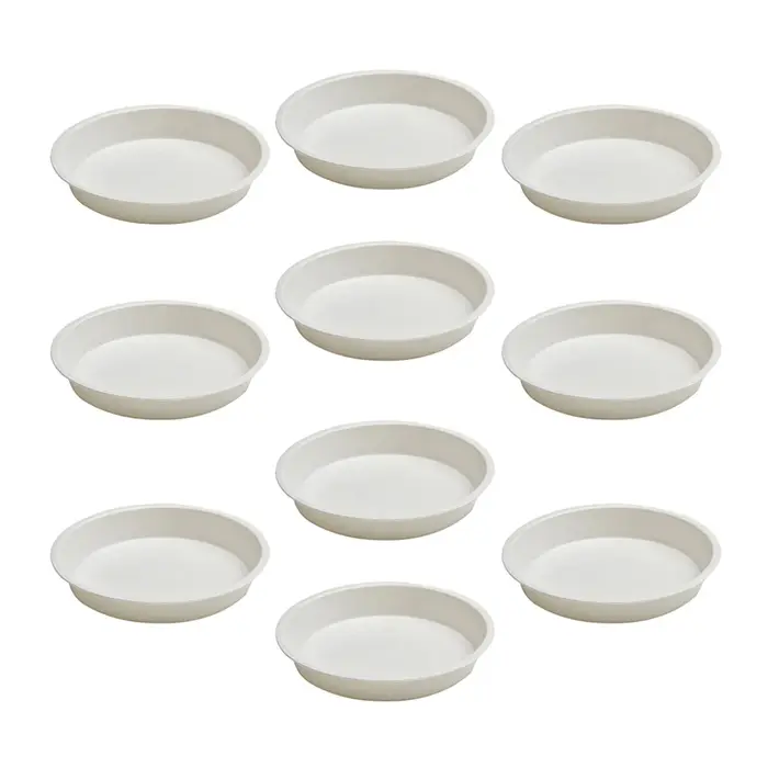 Lot de 10 soucoupes rondes en PP pour plantes succulentes