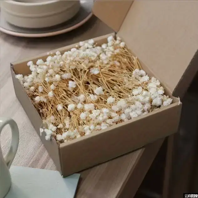Mini-bouquet de 50 petites fleurs séchées de gypsophile blanches en vrac pour décoration rustique de