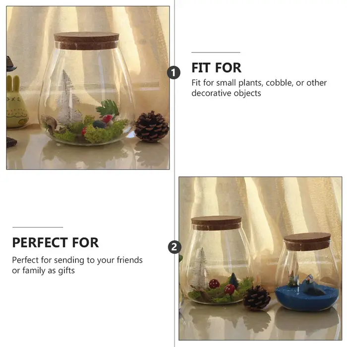 Bocaux de Terrarium en Verre avec Bouchon de Liège
