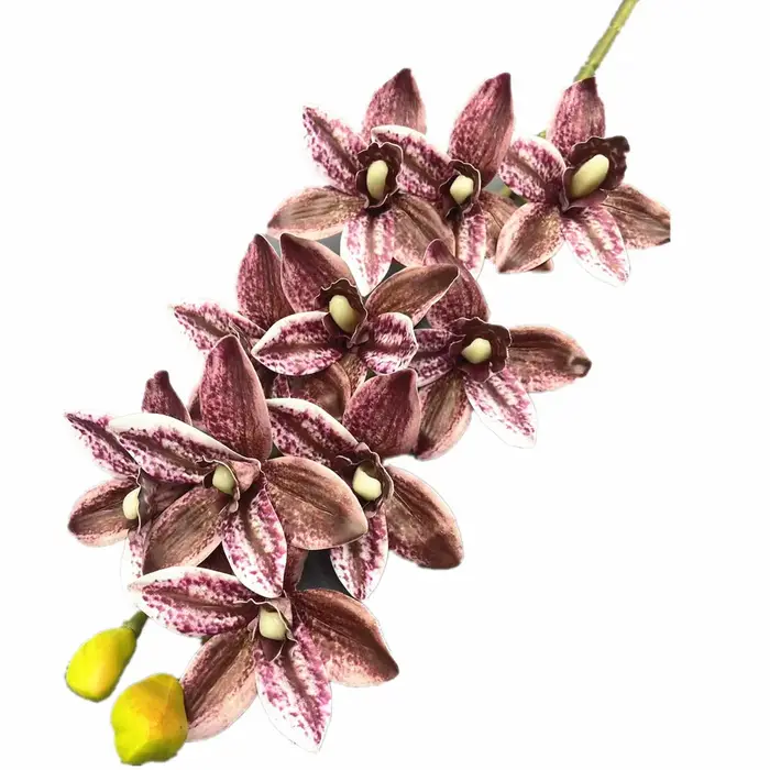 Un Cymbidium artificiel Hookerianum 10 têtes simulé Vanda