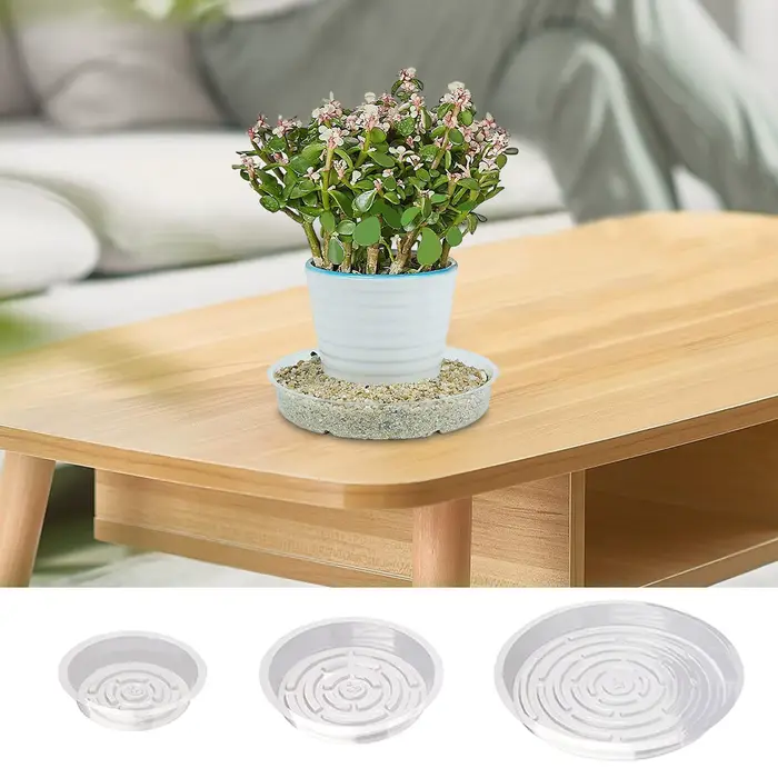 Plateau pour pot de plantes transparent 6/8/10 pouces
