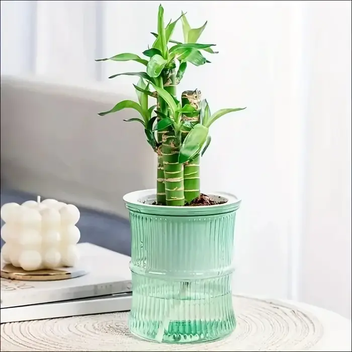 Pot de fleurs auto-arrosant transparent à double couche