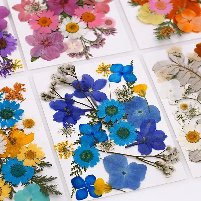 Fleurs séchées pour bricolage