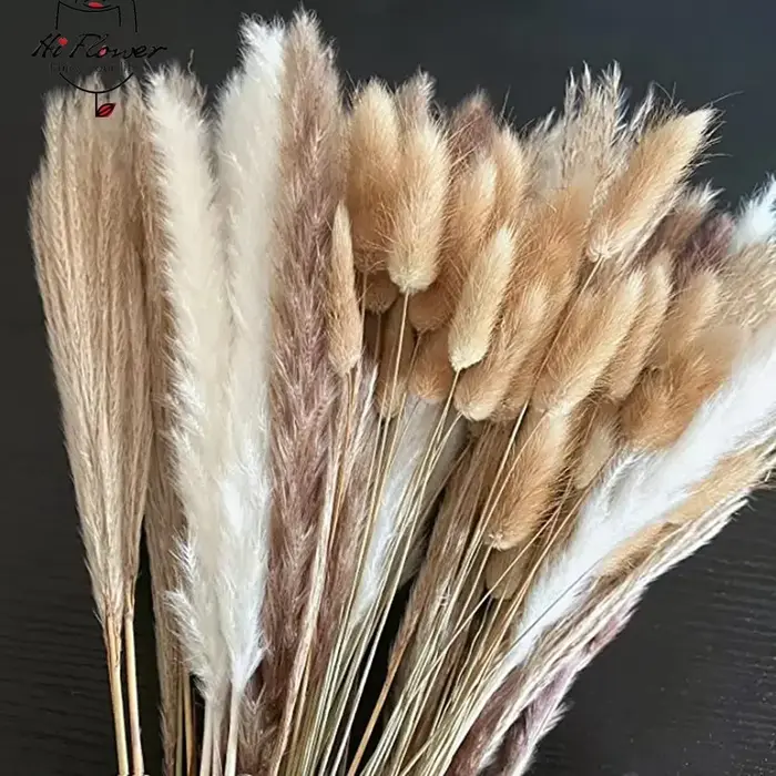 Bouquet de fleurs séchées de Pampas moelleuses