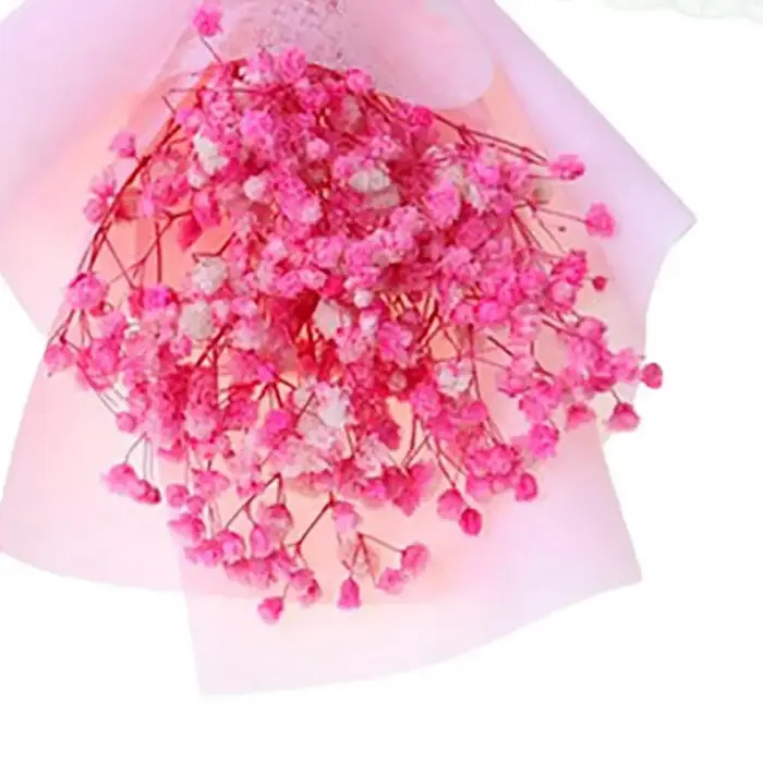 Fleurs séchées de gypsophile pour cadeaux