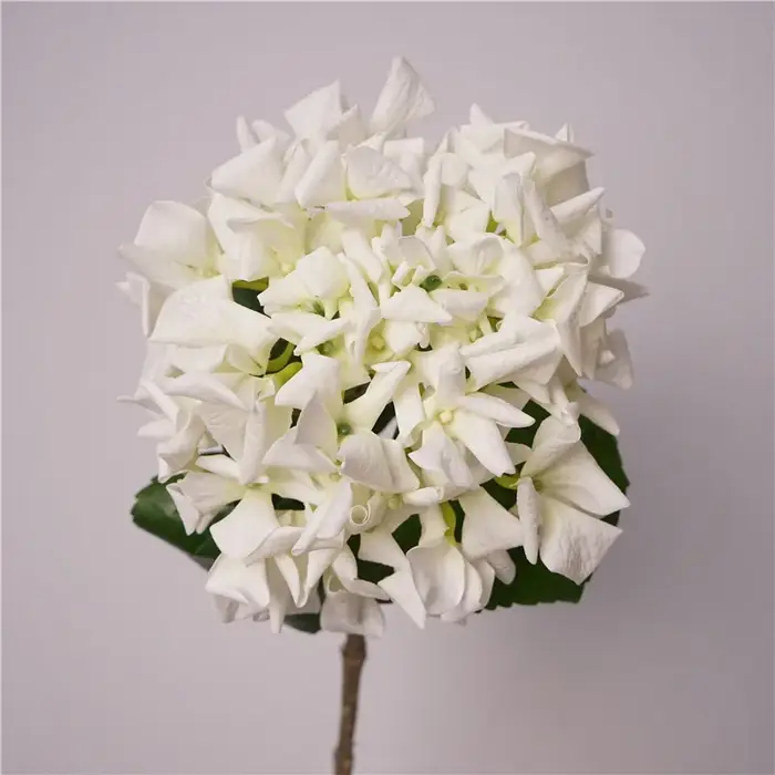 Touchez les fausses fleurs d'hortensia hydratantes, Bouquet de mariée d'hortensia au toucher réel, d