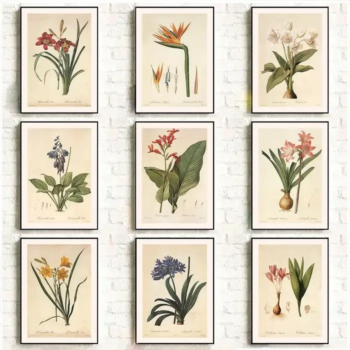 Affiche Murale Vintage Classique : Illustration de Plantes et Fleurs