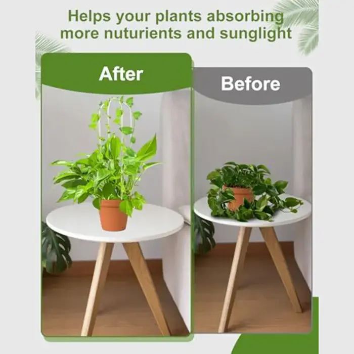 Support pour plantes en acrylique en forme de U