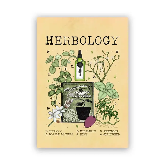 Impression de plantes de racine de Mandrake, affiche d'illustration, peinture sur toile, décor de cuisine et de sorcière, chambre plus lente, gestion de sorcellerie verte